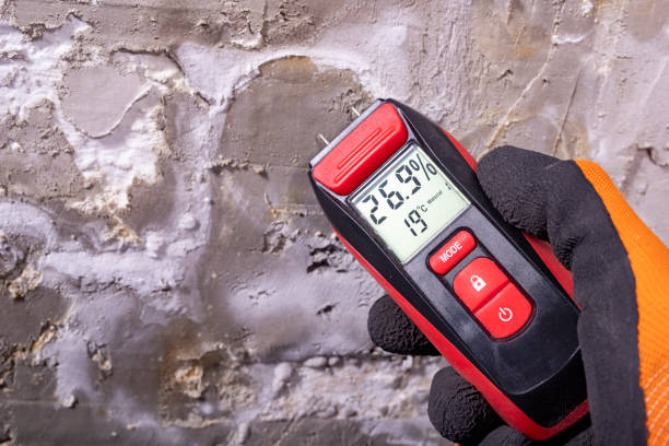 Best Attic Mold Remediation in Genoa, IL